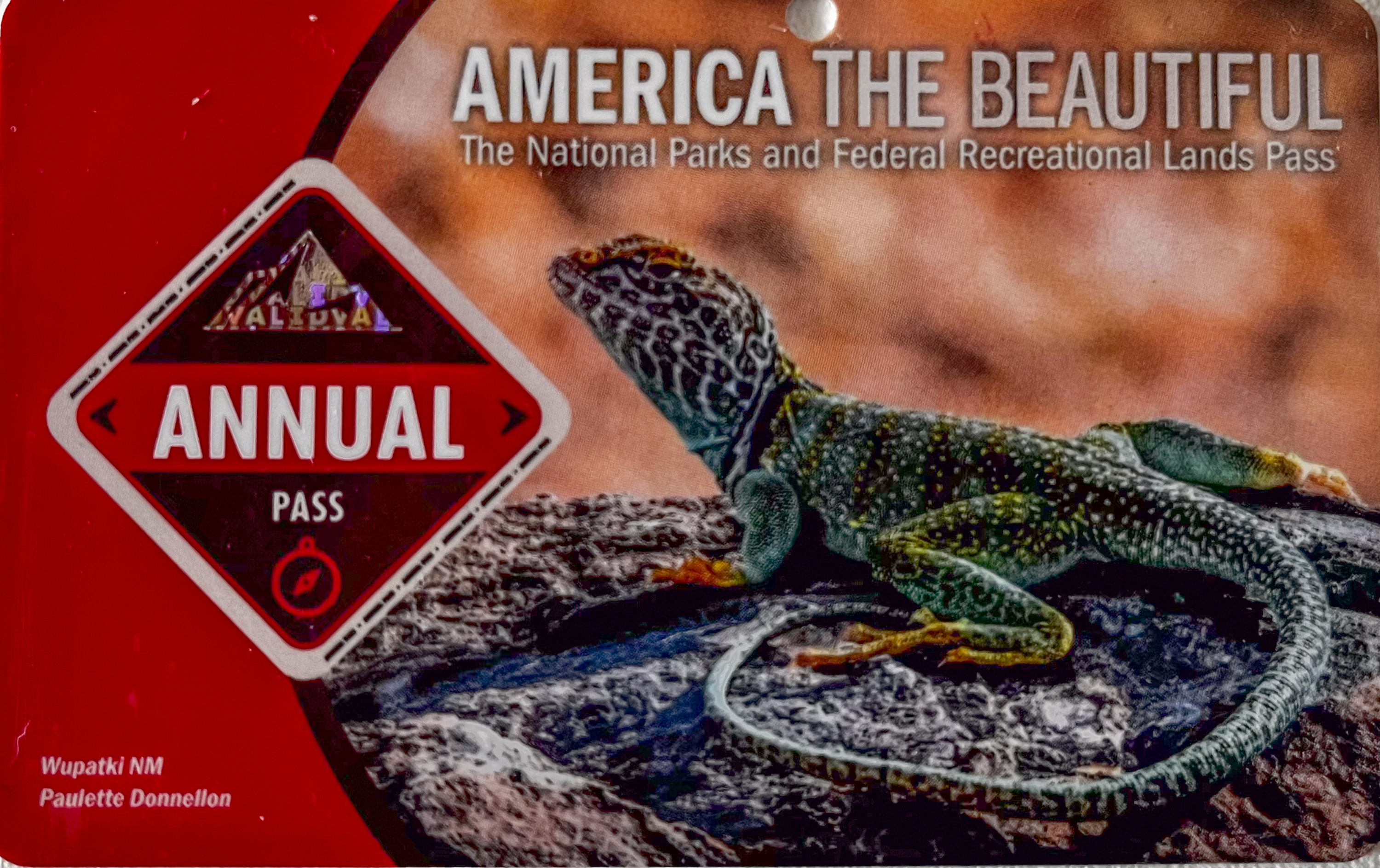 America the beautiful pass