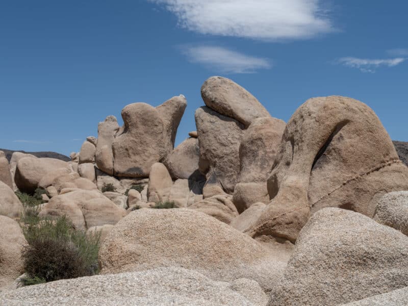 Arch Rock