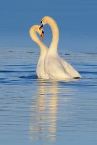 Bielefelds birding spots