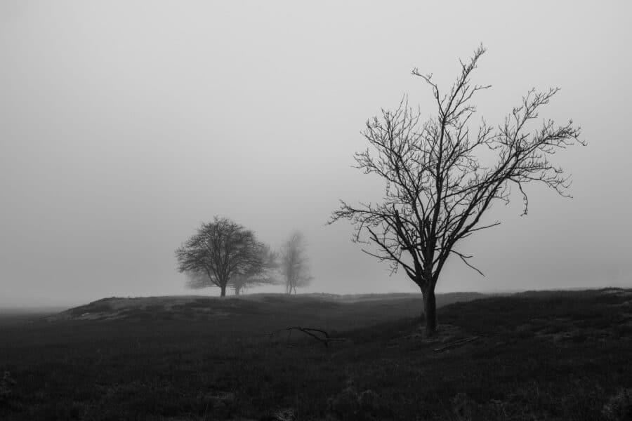 Pietzmoor