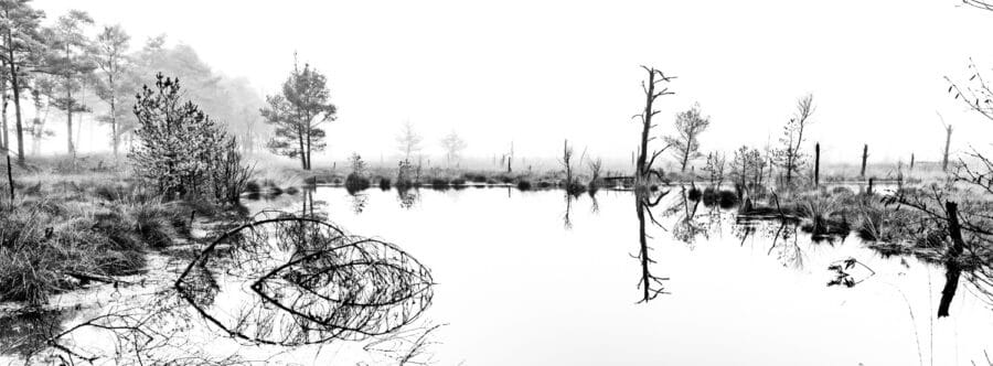 Pietzmoor