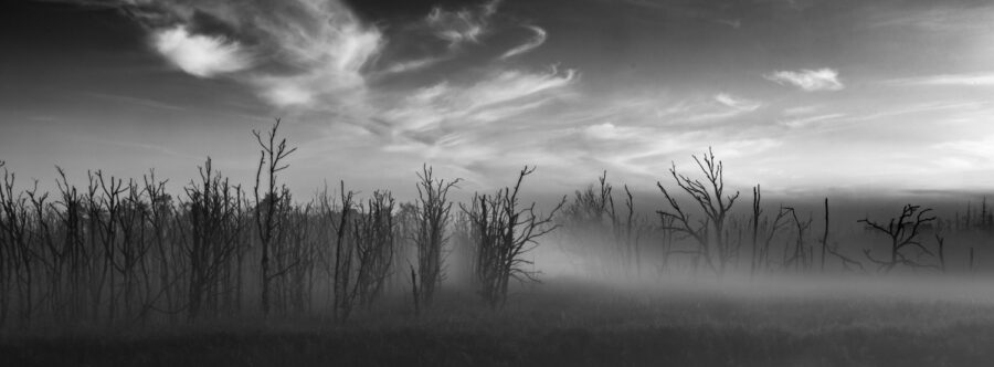Sonnenaufgang im Nebel