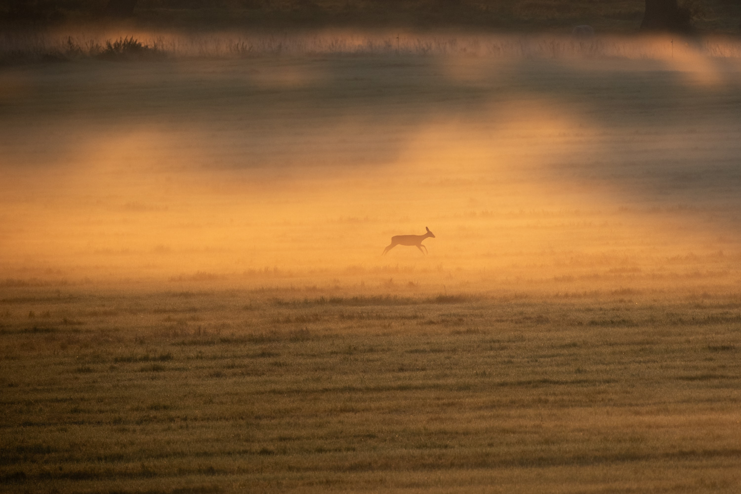 Sonnenaufgang