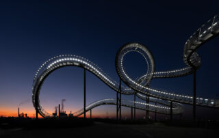 Tiger & Turtle