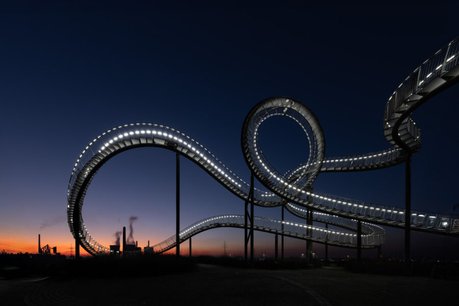 Tiger & Turtle