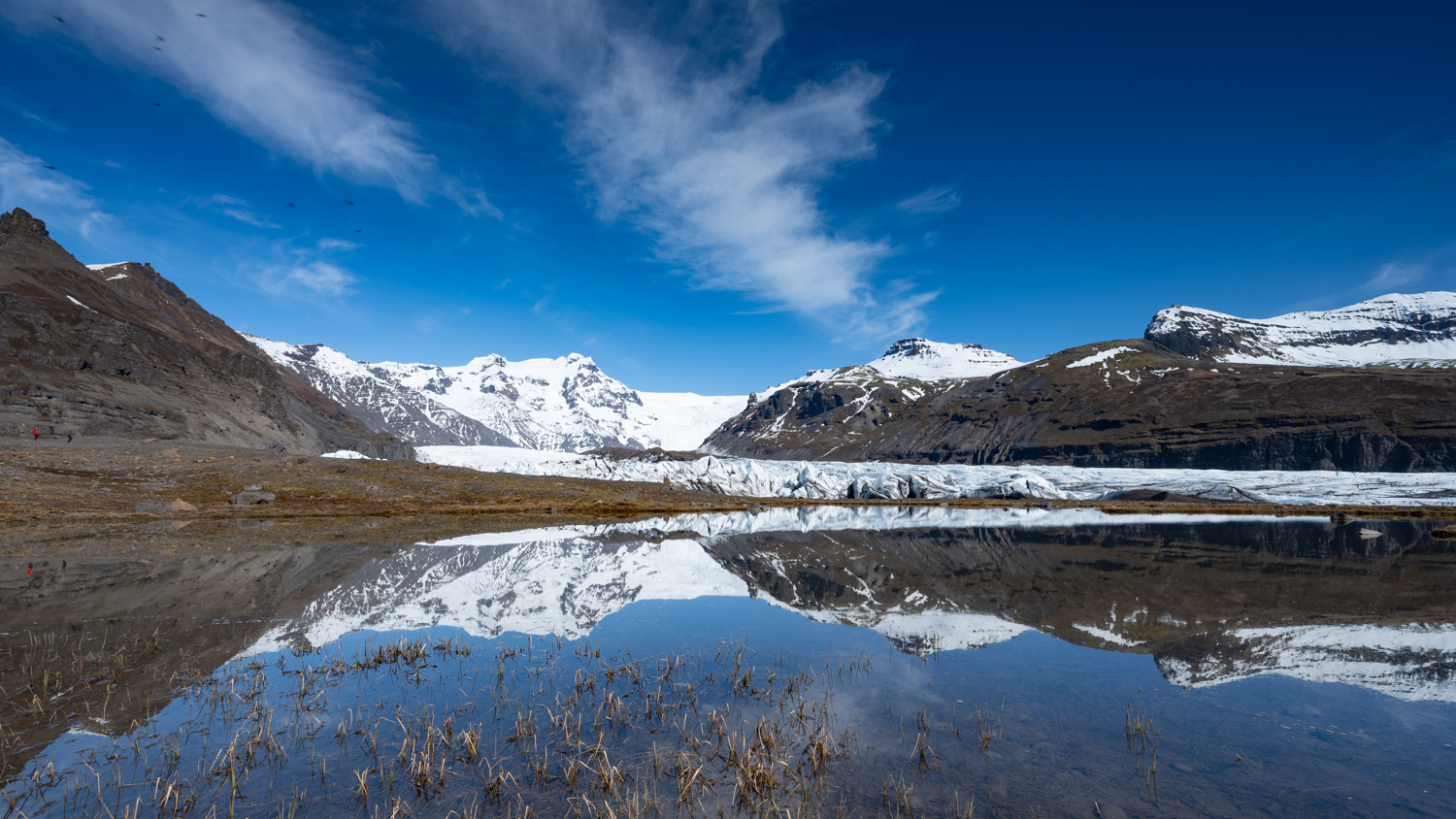 Svínafellsjökull