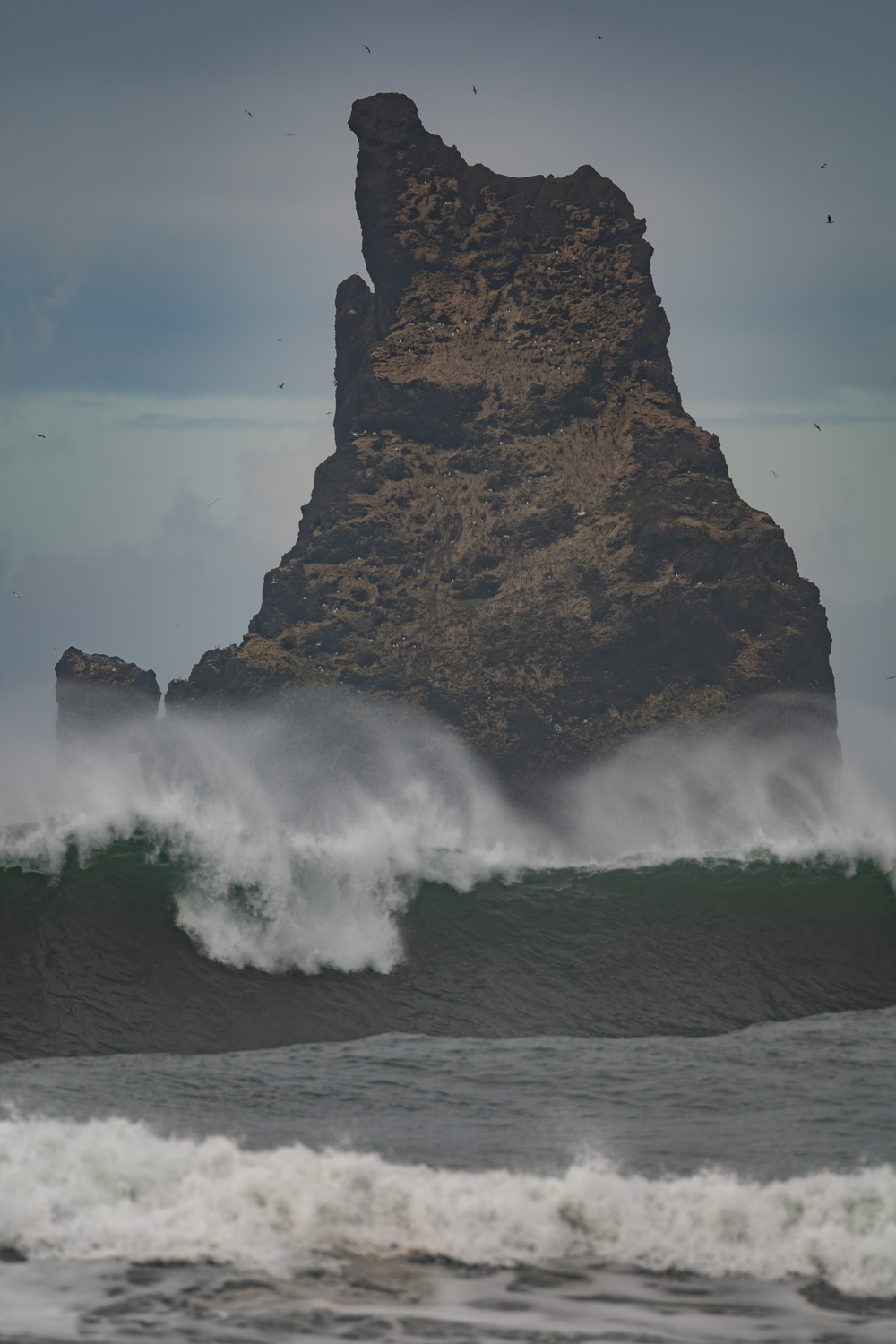 Vik Beach