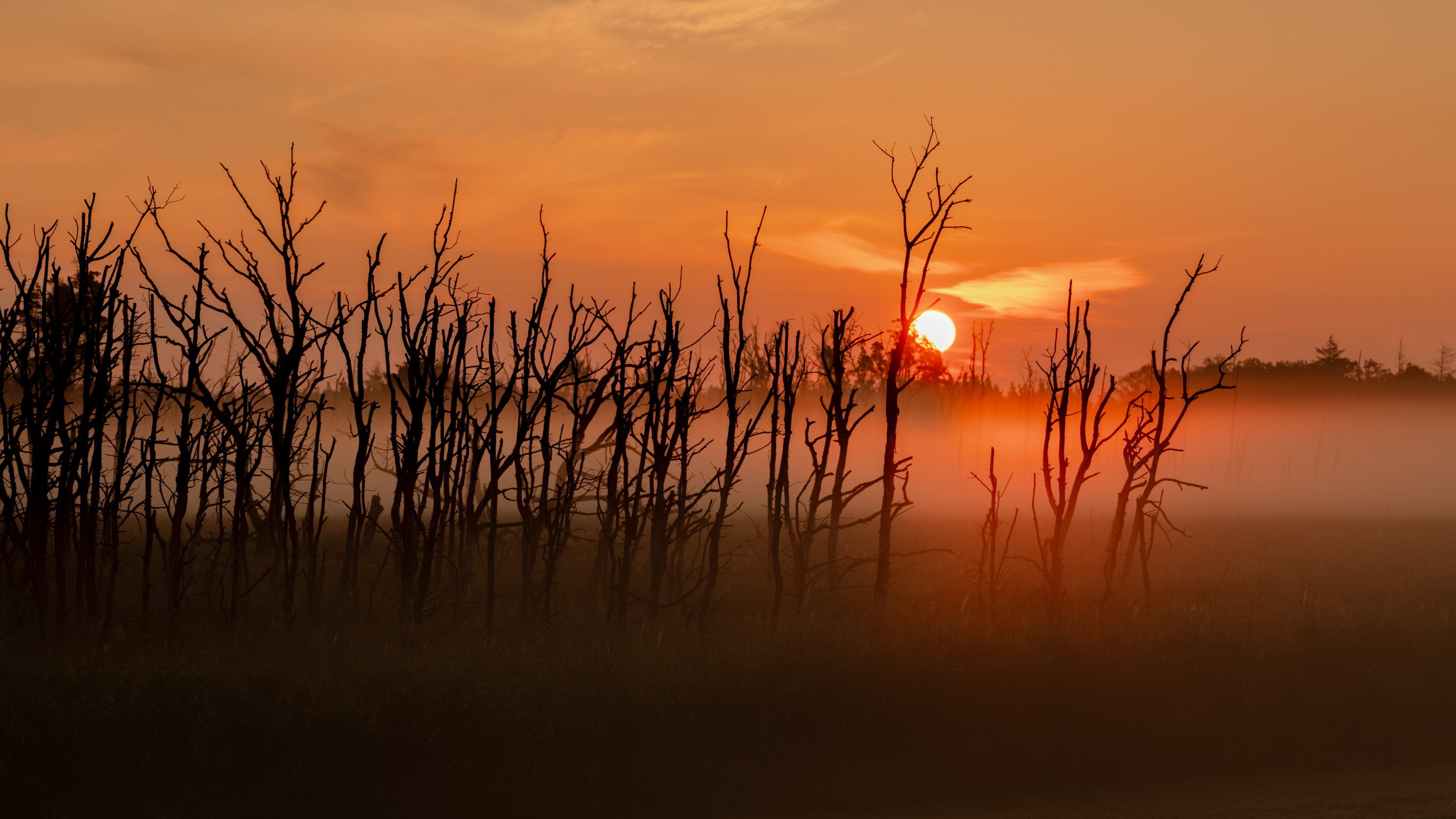 Sonnenaufgang im Nebel