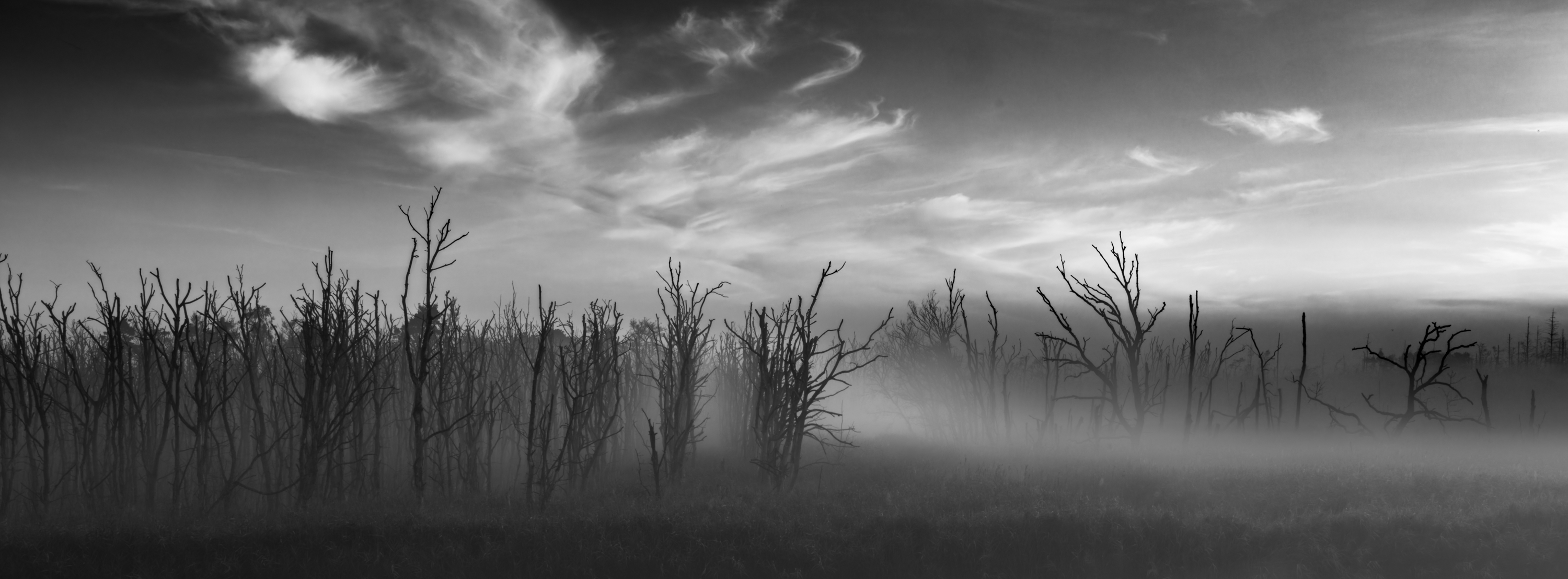 Sonnenaufgang im Nebel